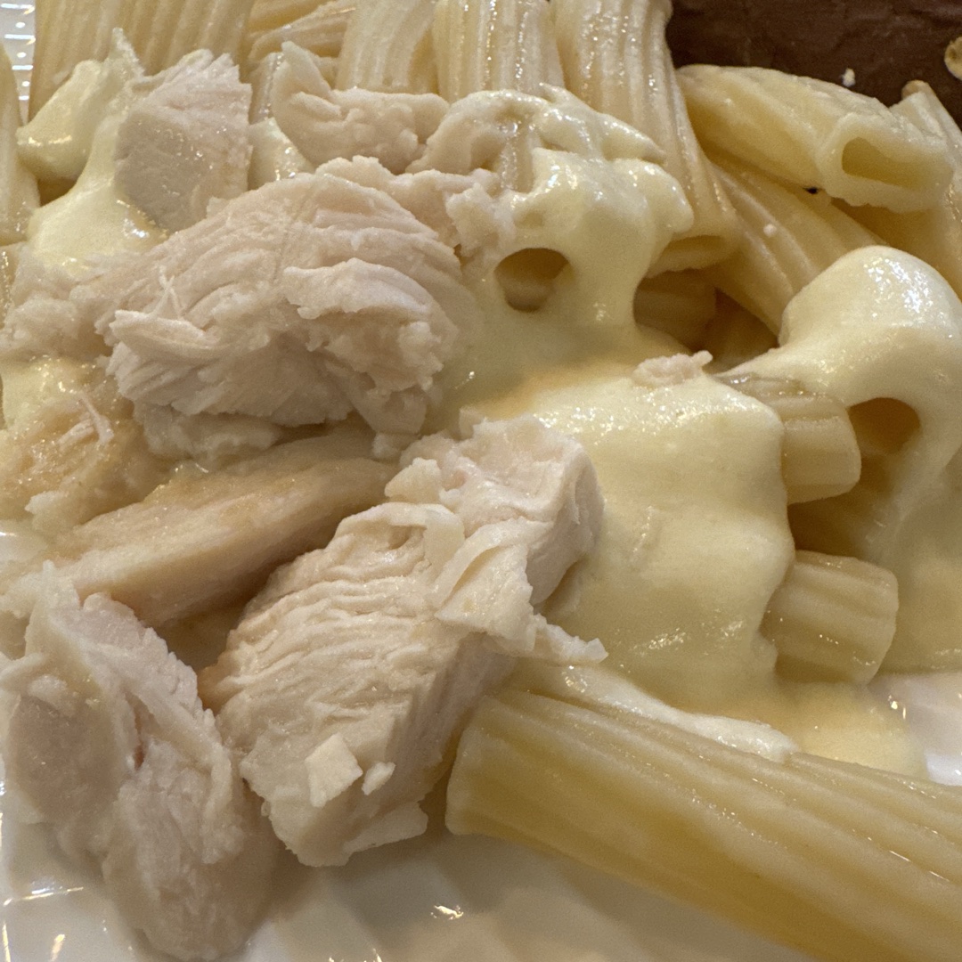Alfredo And Brown Log