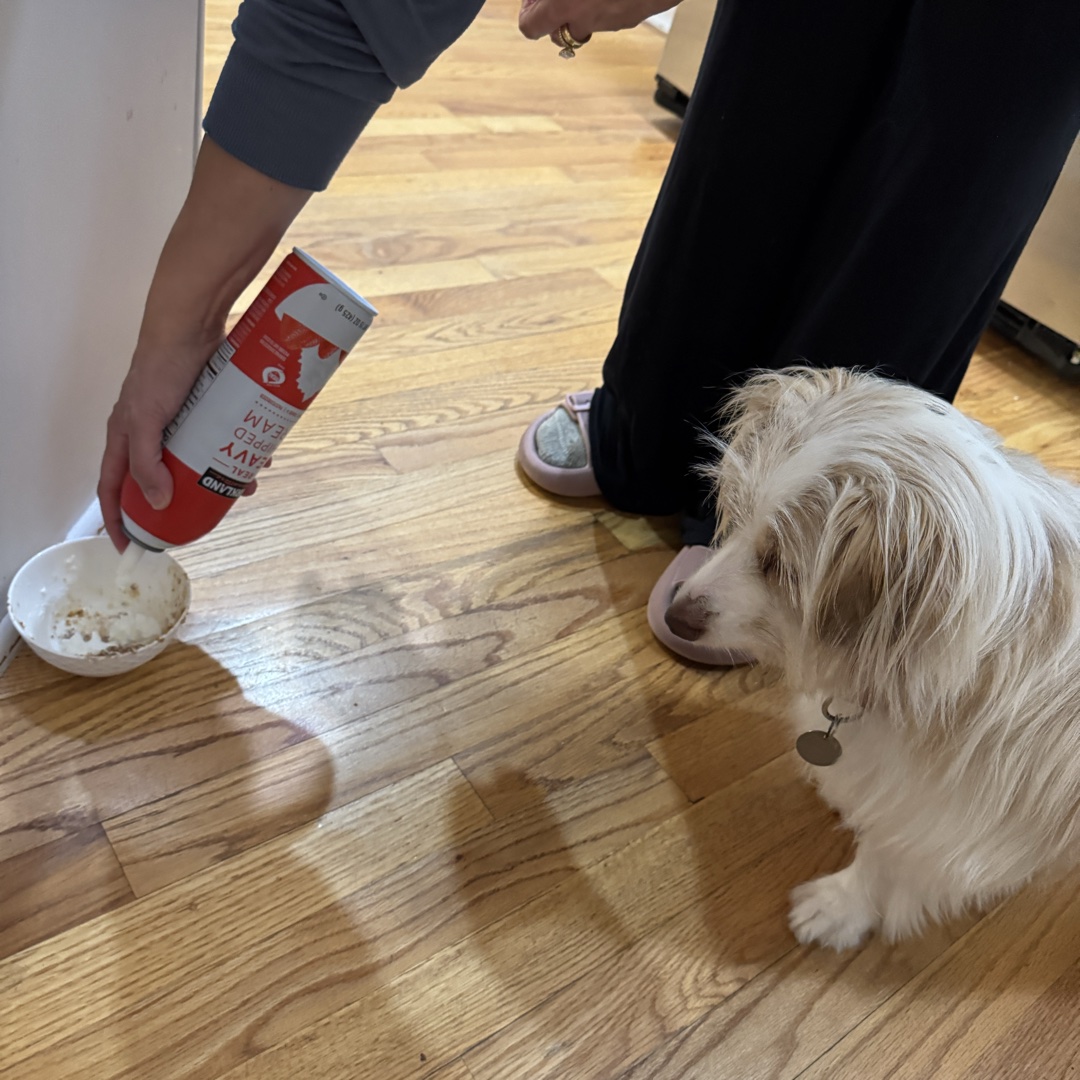 Pup Cup