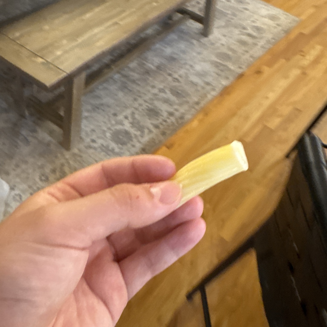 Single Noodle