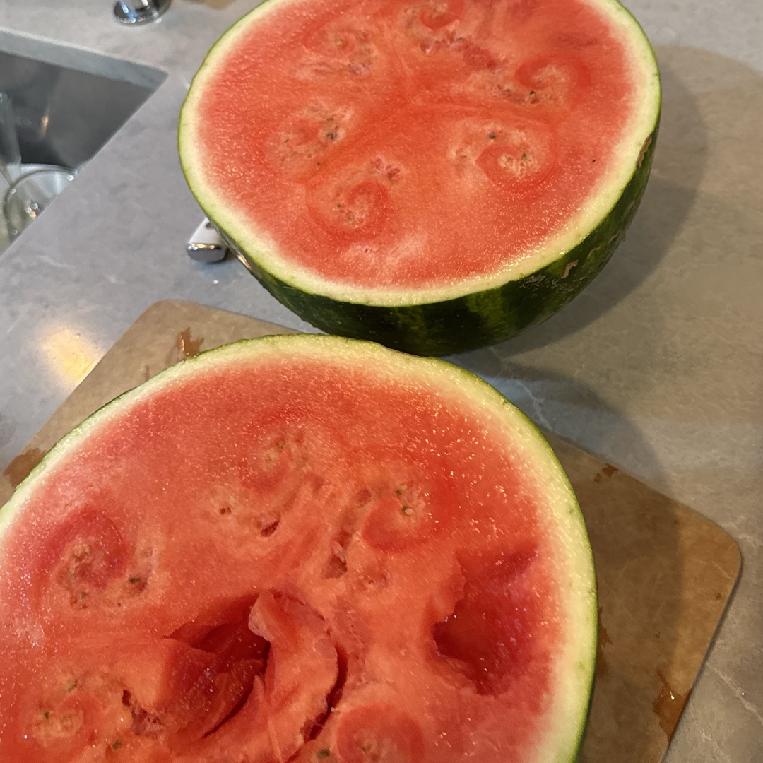 Quest: Watermelon