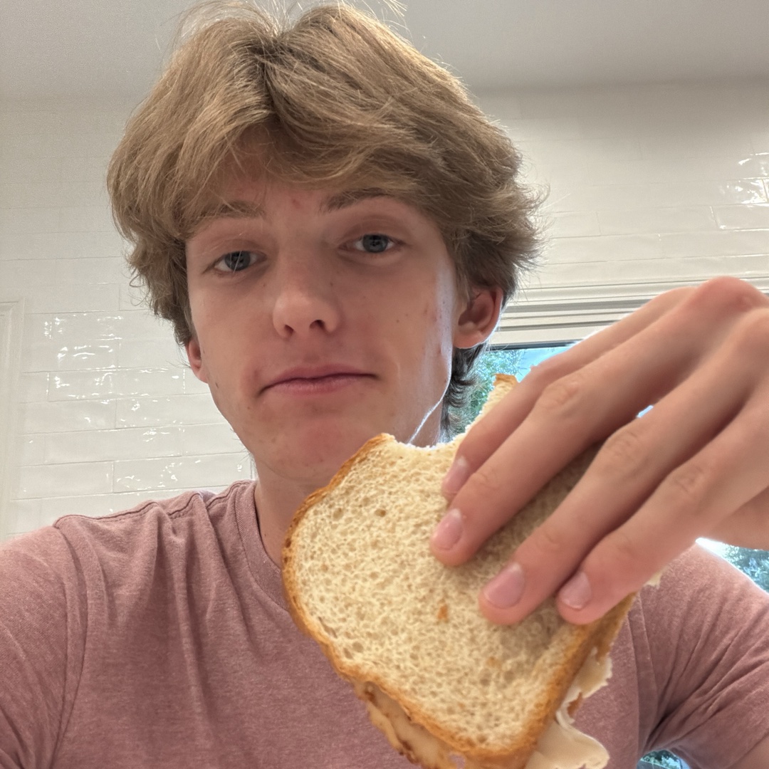 Delicious chicken, cheese and mustard sandwich