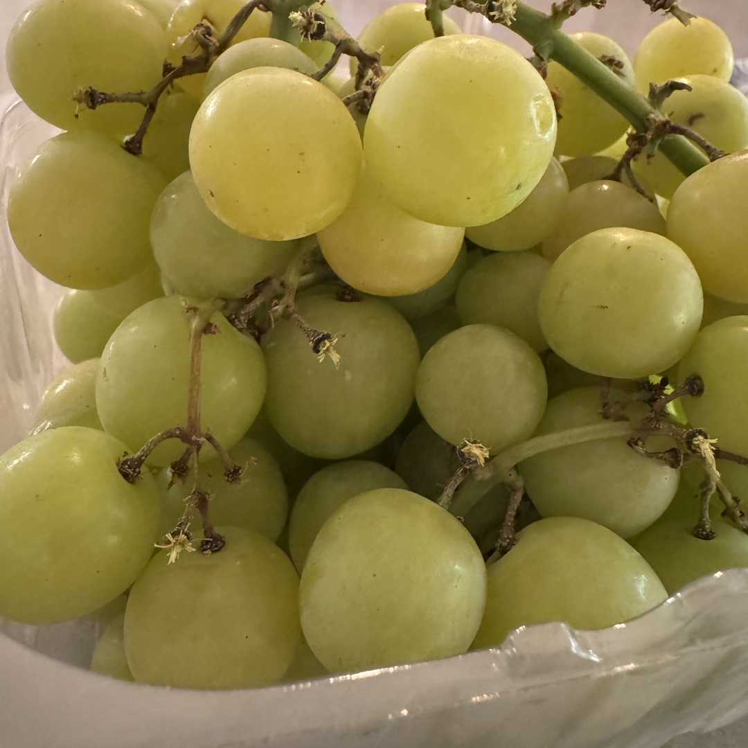 Quest: Green Grapes