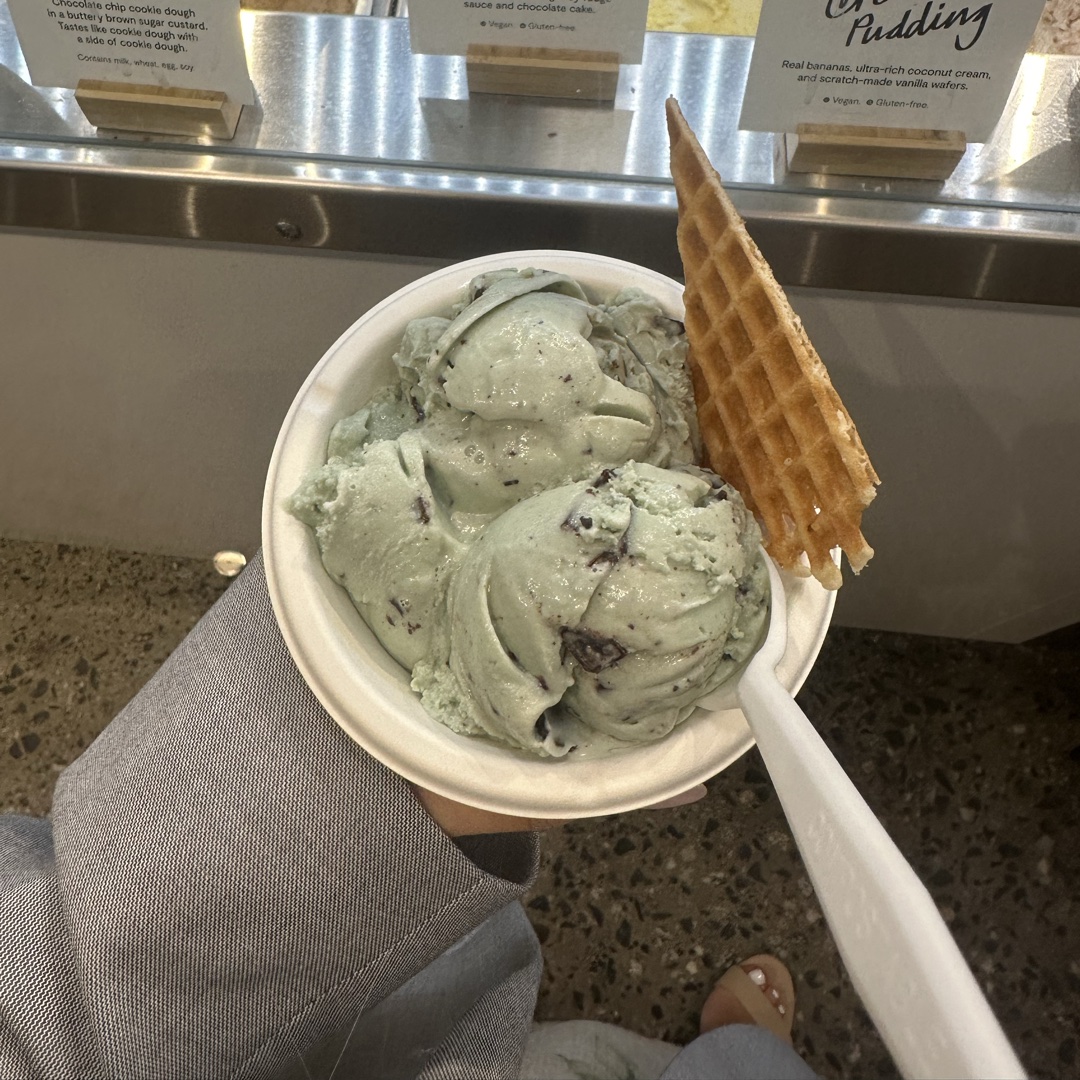Mint chocolate chip ice cream