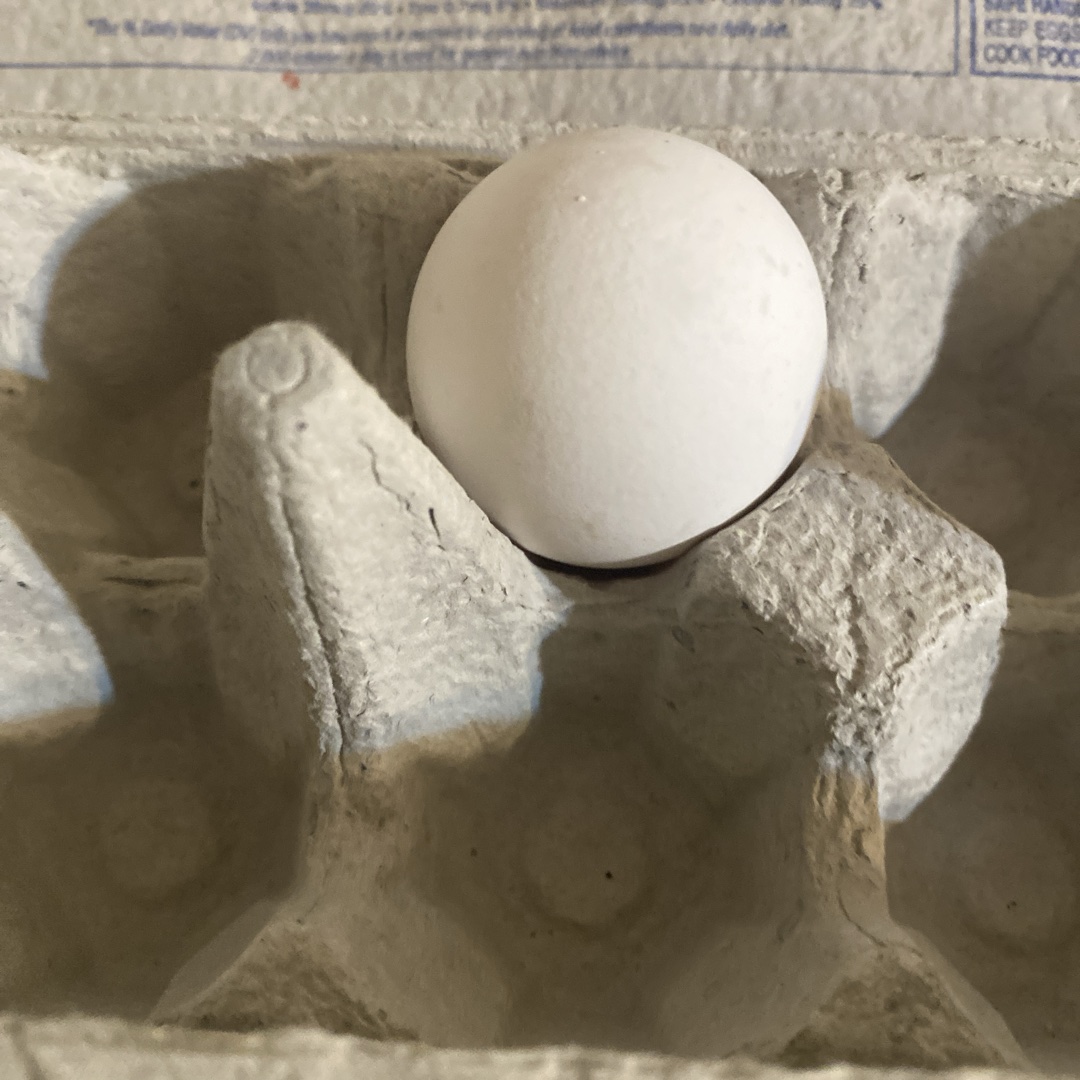 Egg