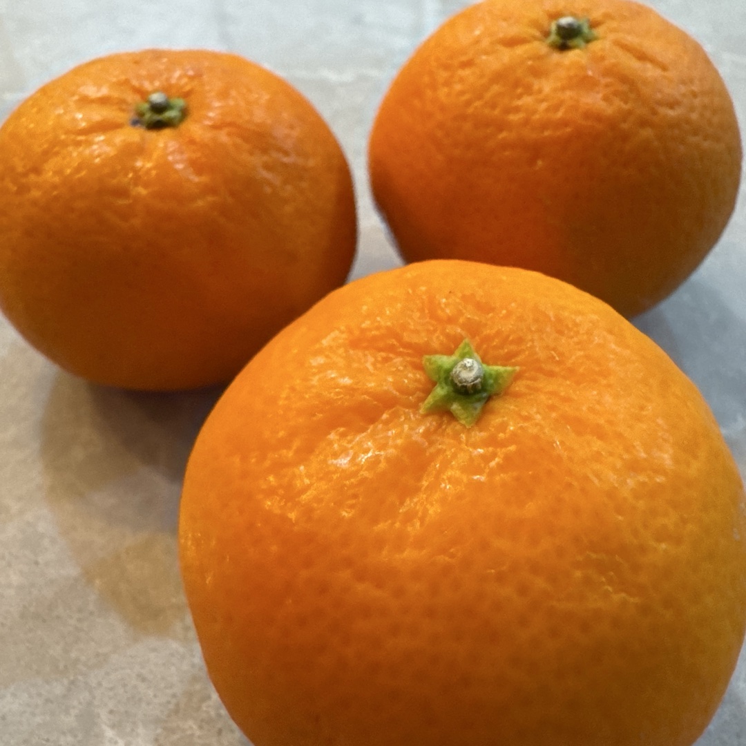 Oranges