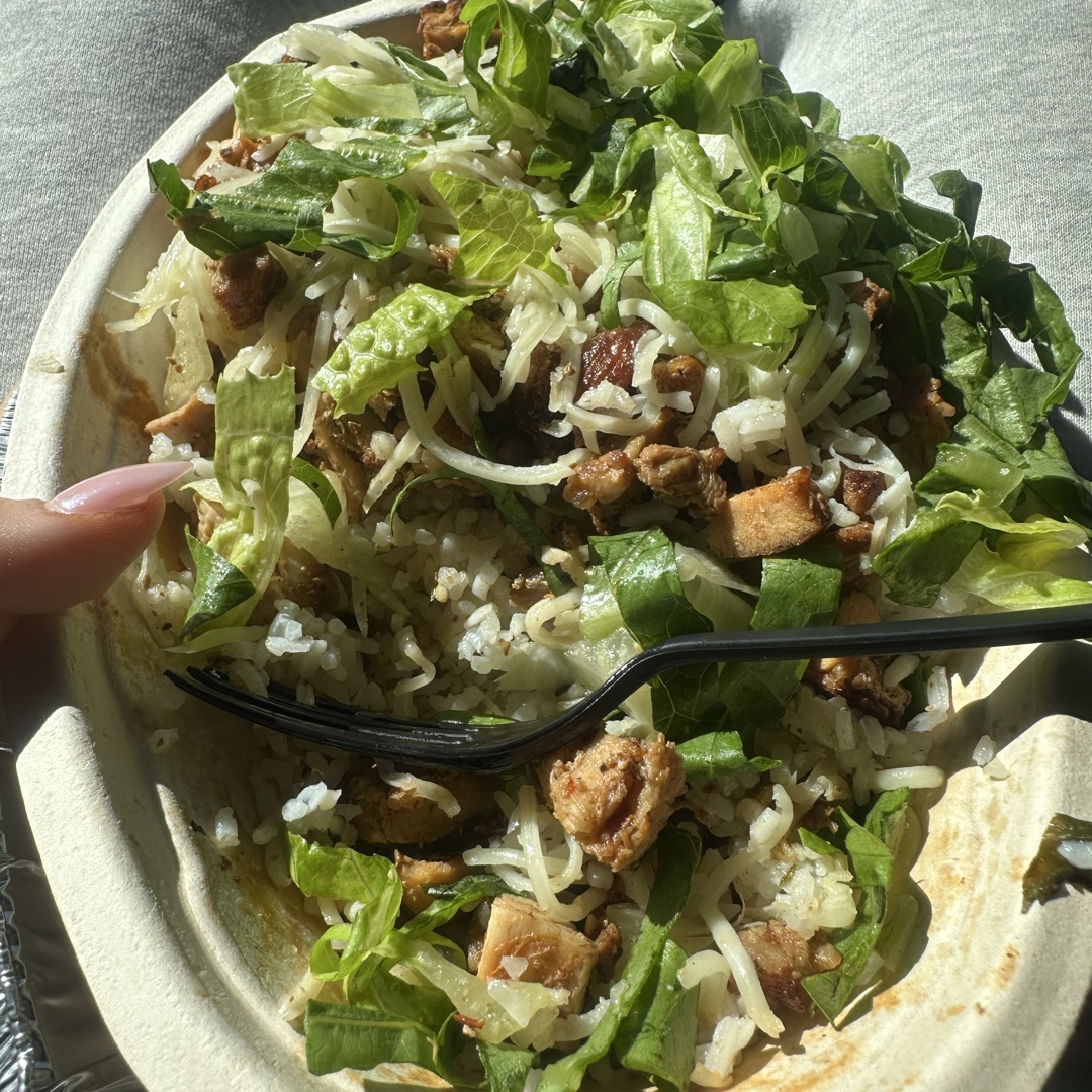 Chipotle bowl at Chipotle