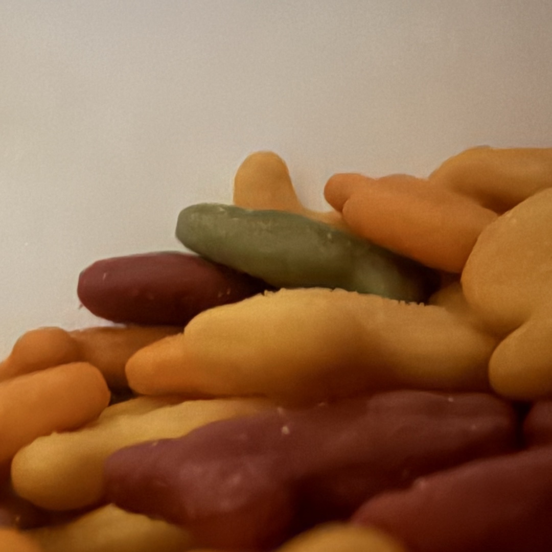 Goldfish